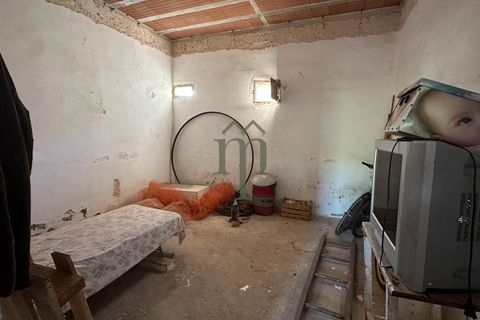 Ruïna a Ostuni, Brindisi, Ostuni - € 43.000 | Ref: Lamia Vite - foto 26